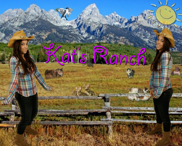 Kat's Cat Ranch